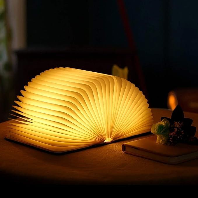 Glanciety Lumina Book Lamp