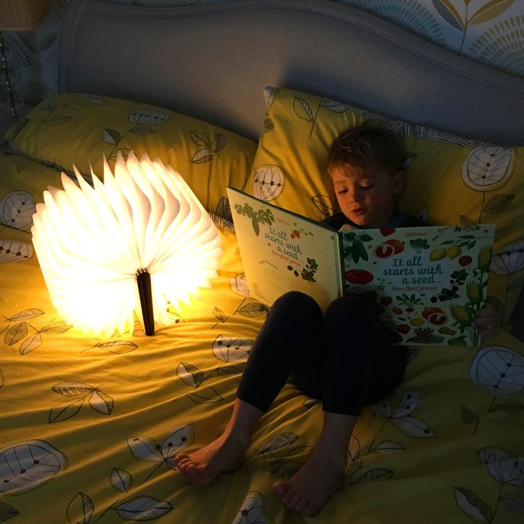 Glanciety Lumina Book Lamp