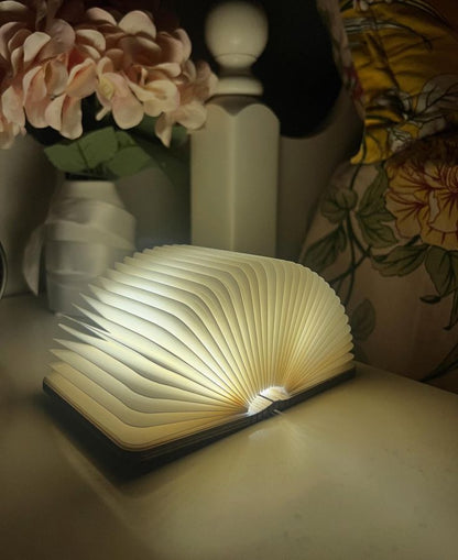 Glanciety Lumina Book Lamp